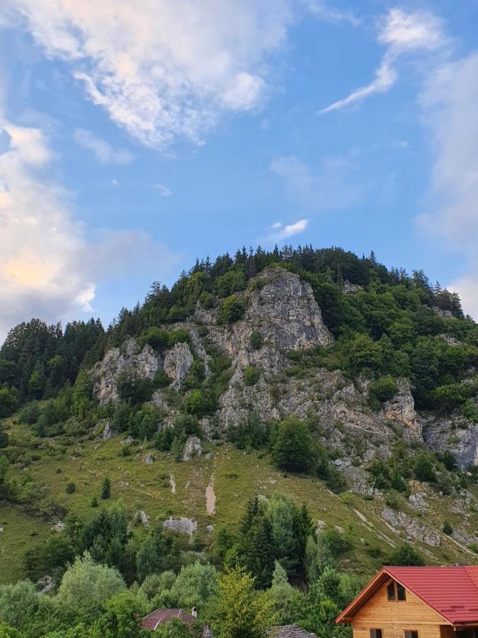 Pensiunea Casa Soarelui Podu Dimbovitei Exterior foto